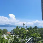 Apartman Jungle Jam