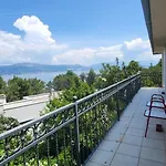 Apartman Jungle Jam *