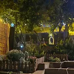 Apartman Jungle Jam