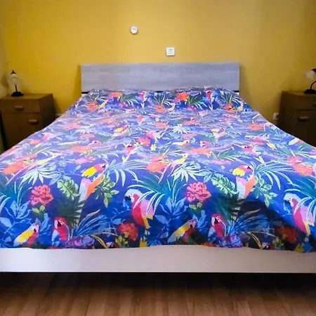 Jungle Jam Трогир