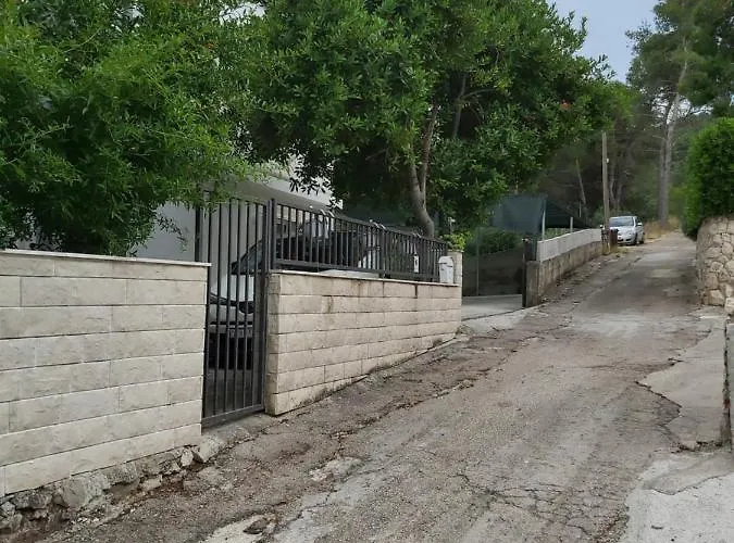 Jungle Jam Apartment