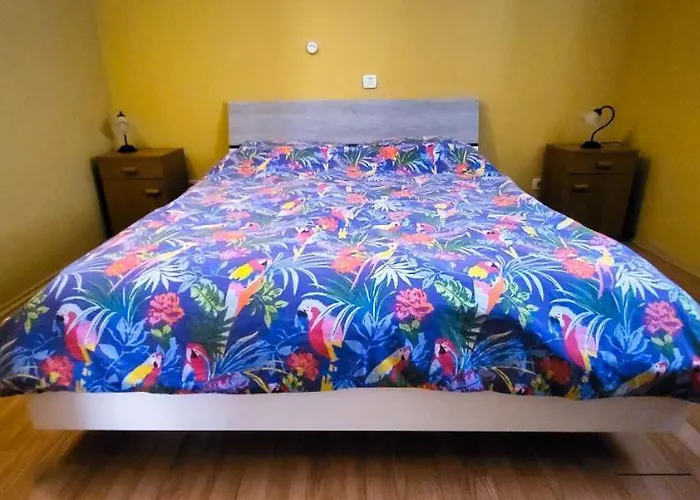 Jungle Jam Трогир