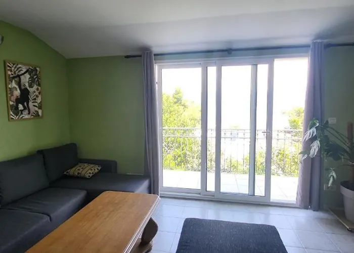 Jungle Jam تروغير