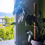 Jungle Jam *