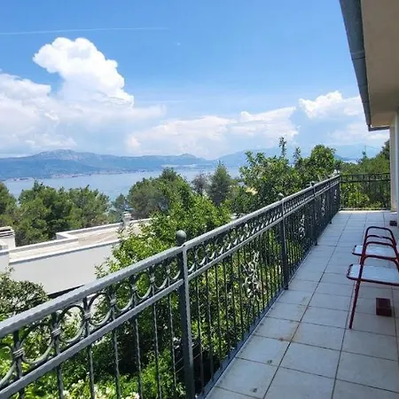 Apartment Jungle Jam *