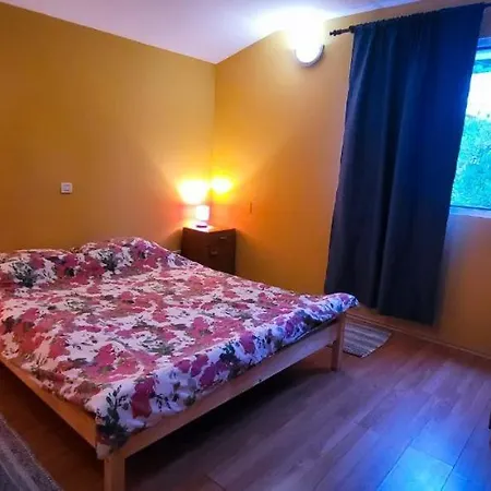 Apartment Jungle Jam *